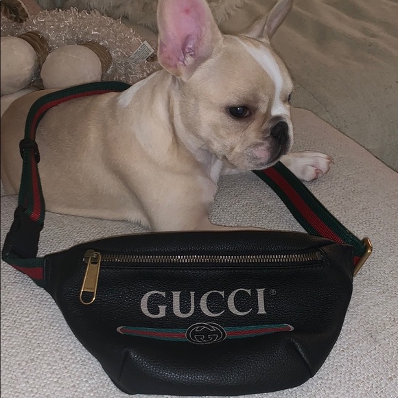 Gucci Handbags - Gucci Fanny Pack